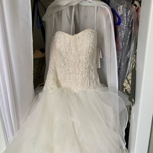 Brand new dress with veil, petty coat, and preservation box.